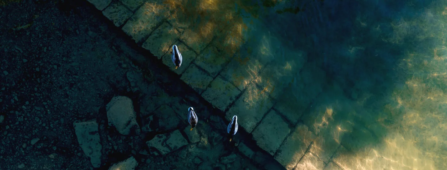 34 wsp shooting wasser